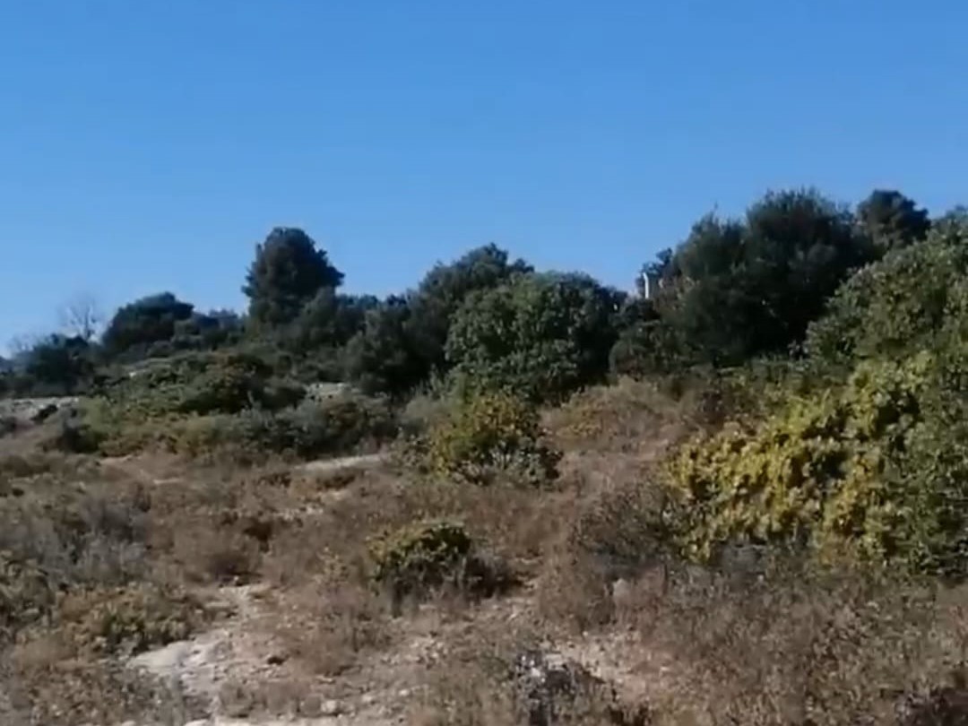 Çınar Gayrimenkul